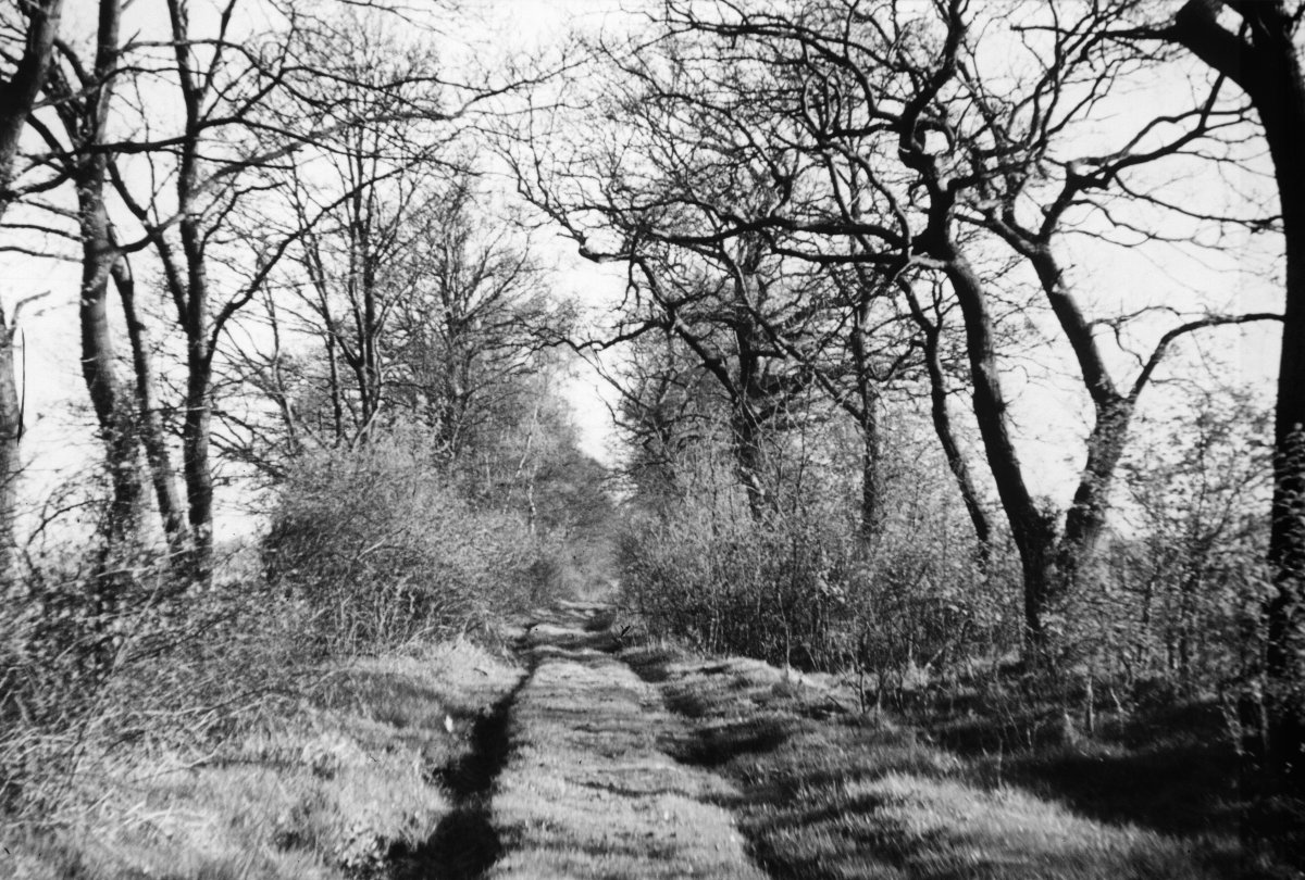 Lehmstrasse an der Tonkuhle